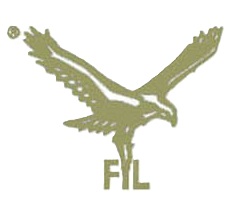 Falcons International