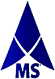 MobShah Group Logo